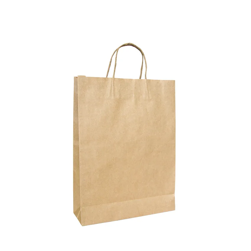 Ecopack Medium Twisted Handle Paper Bags (1 Pack/25 Bags)